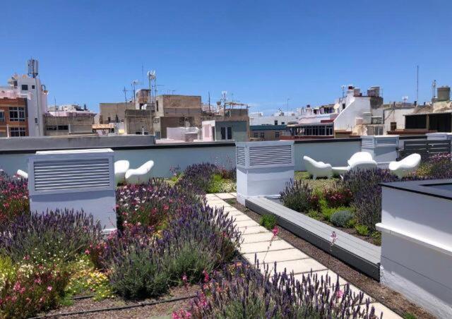 Zen Garden Apartment Las Palmas Exterior photo