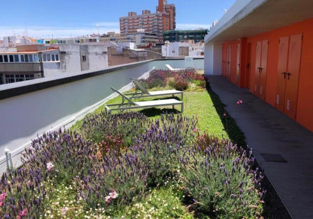 Zen Garden Apartment Las Palmas Exterior photo